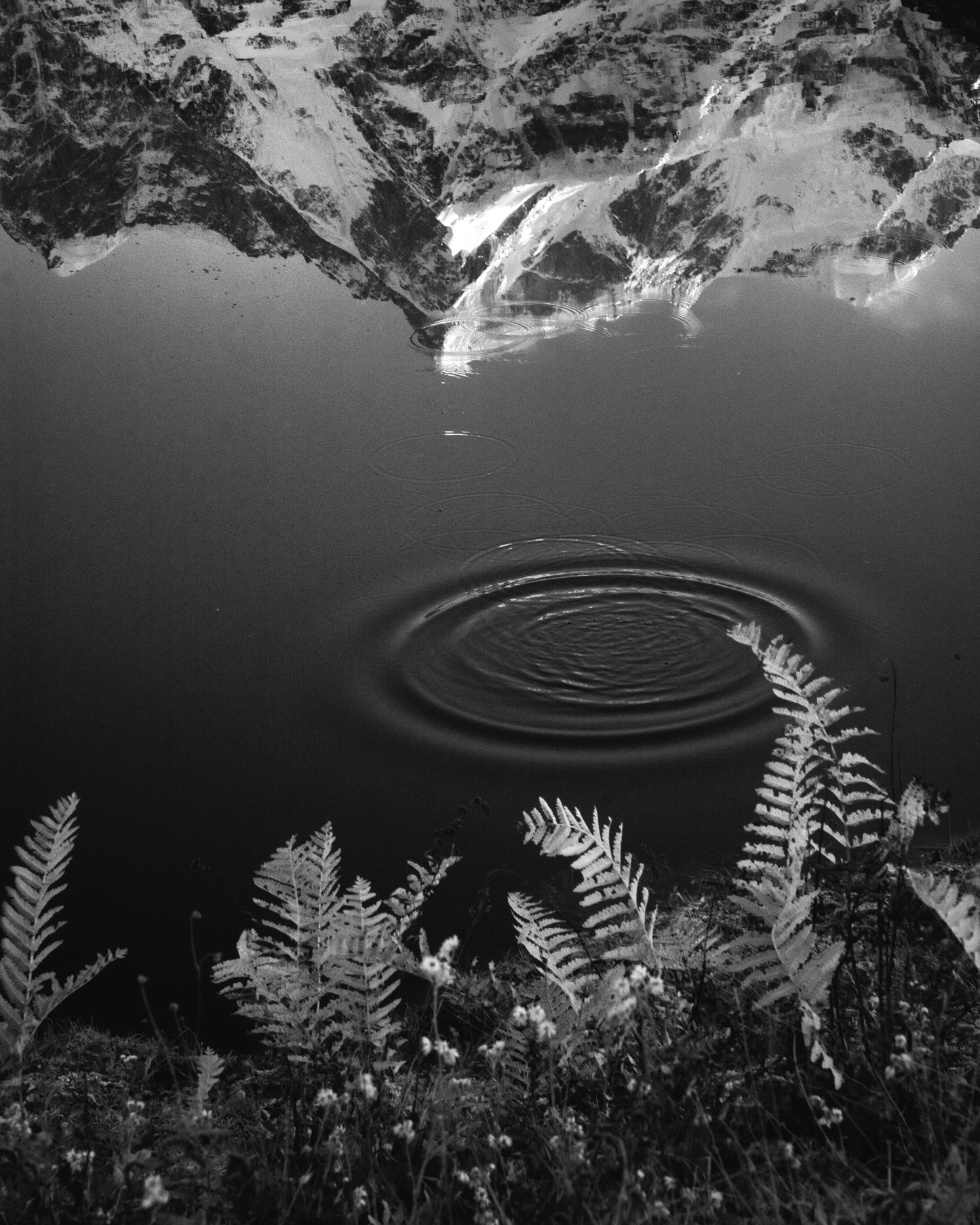 Reflection of Mount Chowkhamba on Water with Ripples- Fineart archival print, wallart