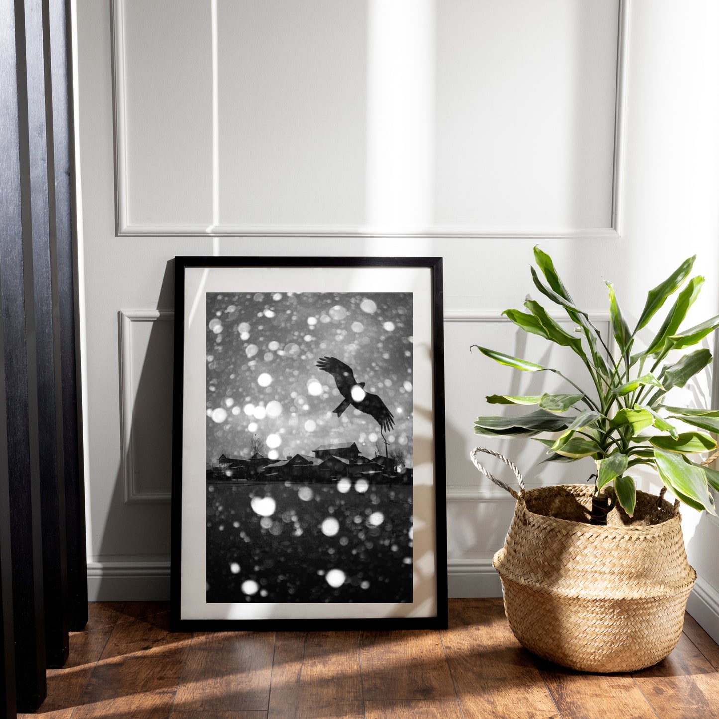 Raven in Snowfall Over Dal Lake - Fineart archival print, wallart