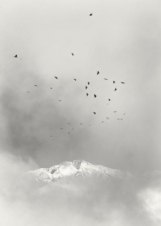 Ravens over Kangchenjunga