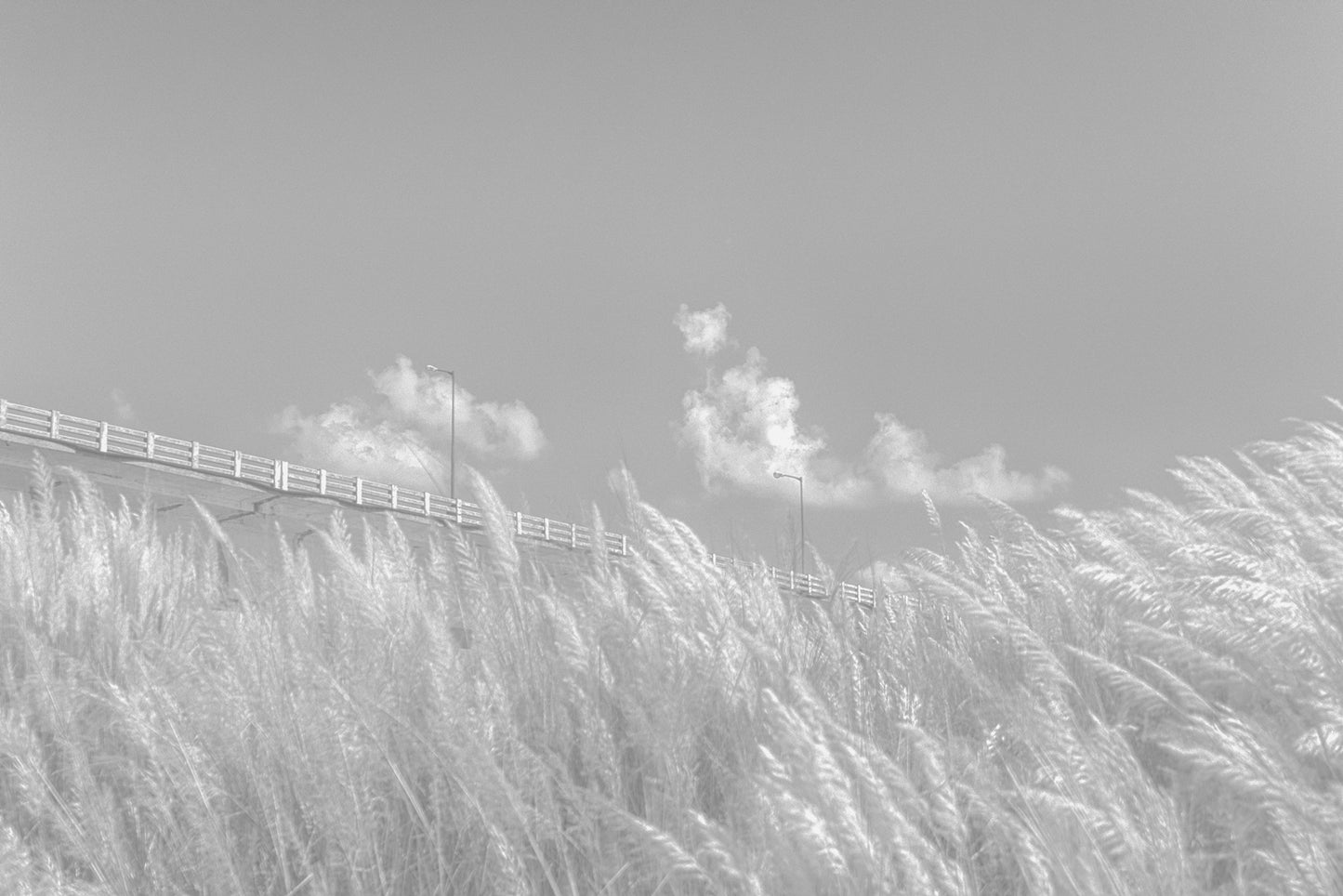 Black-and-White Fine Art Print – Bridge between Heaven and Earth  – Available in 8x12, 16x24 Inches