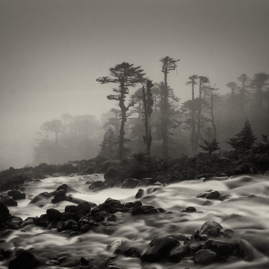 Flowing, Sikkim Himalayas #2